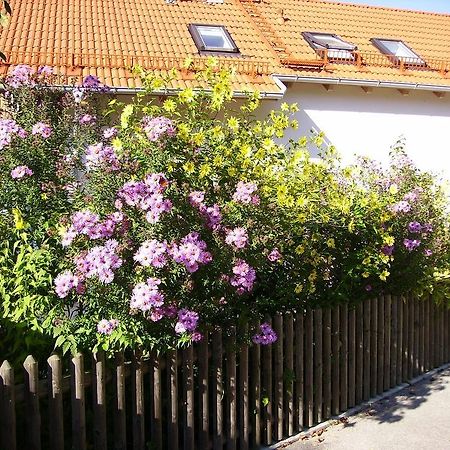 Villa Wiflinger Graben Einfamilienhaus Wörth Exterior foto